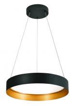  RVP20L30D1BKGD - Reveal 20" LED Pendant