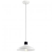  49982WH - Outdoor Pendant/Semi Flush 1Lt