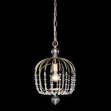  343P01HG - Voliere 1-Lt Crystal Pendant - Havana Gold