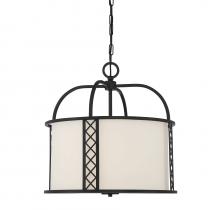  7-8202-3-89 - Rockford 3-Light Pendant in  Matte Black