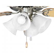  P2610-09WB - AirPro Collection Four-Light Ceiling Fan Light