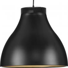  P500373-31M-30 - Radian LED Collection Modern Matte Black Metal Pendant