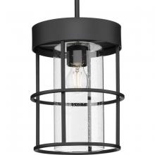  P500401-31M - Burgess Collection One-Light Matte Black Modern Farmhouse Pendant