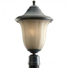  P5406-84 - One Light Espresso Weathered Sandstone Glass Post Light