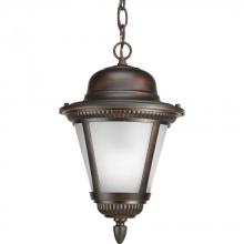  P5530-20WB - One Light Antique Bronze Etched Seeded Glass Hanging Lantern