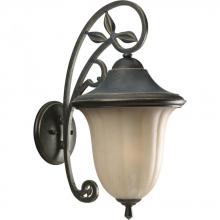  P5747-84 - One Light Espresso Weathered Sandstone Glass Wall Lantern