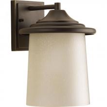  P6060-20 - Essential Collection One-Light Medium Wall Lantern