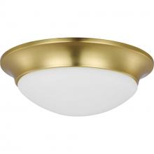  P350147-012 - Two-Light 14" Etched Glass Flush Mount