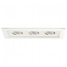  MT-316LED-WT/WT - Low Voltage Multiple Two Light Trim