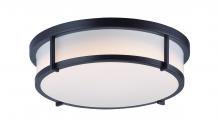  10270WTBK - Rogue E26-Flush Mount