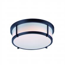  10273WTBK - Rogue LED-Flush Mount