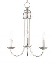  10343SN - Logan-Multi-Light Pendant