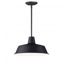  35019BK - Pier M-Outdoor Pendant