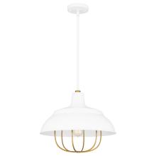  QP5357W - Darmody Pendant