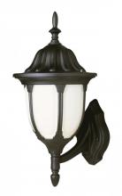  4041 BK - Hamilton 1-Light Opal Glass Traditional Outdoor Wall Lantern