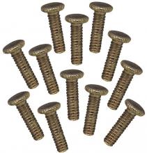  7704100 - 12 Fitter Screws Antique Brass Finish