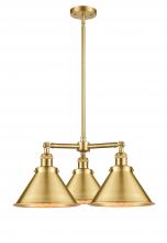  207-SG-M10 - Briarcliff - 3 Light - 24 inch - Satin Gold - Stem Hung - Chandelier