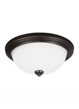 CEILING FLUSH MOUNT