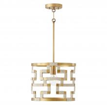  341011NL - 1 Light Pendant