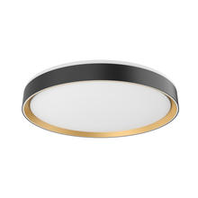  FM43920-BK/GD - Essex 20-in Black/Gold LED Flush Mount