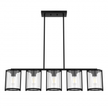  48013 - Hunter Astwood Matte Black with Clear Glass 5 Light Chandelier Ceiling Light Fixture