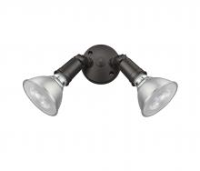  16002-PBZ - Security Flood Lights