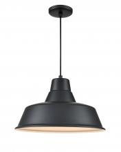  RCLWC17-SB - R Series 1-Light Cord Hung Classic Warehouse Satin Black