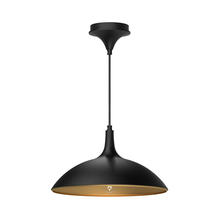  PD627914MB - Abel 14-in Matte Black 1 Light Pendant