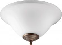  1177-801 - Stn Opal LED BWL - OB/STN