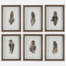  41460 - Birds Of A Feather Framed Prints, S/6