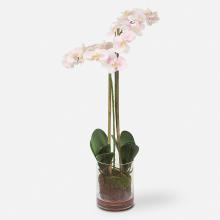  60196 - Blush Pink And White Orchid