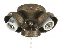  F301AB-220 - 3-LIGHT TURTLE FITTER: ANTIQUE BRASS 220 VOLT